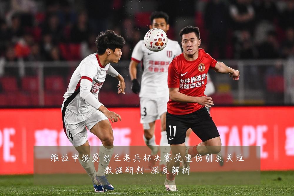 维拉中场爱尔兰老兵杯决赛受重伤引发关注数据研判-深度解析